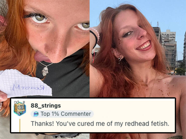 Savage Roasts That Left No Survivors Savage Roasts That Left No Survivors