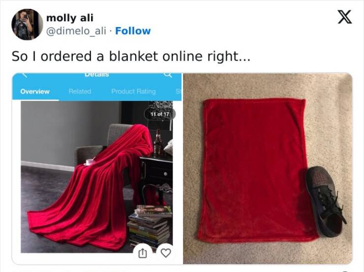 The Funniest Online Shopping Disasters