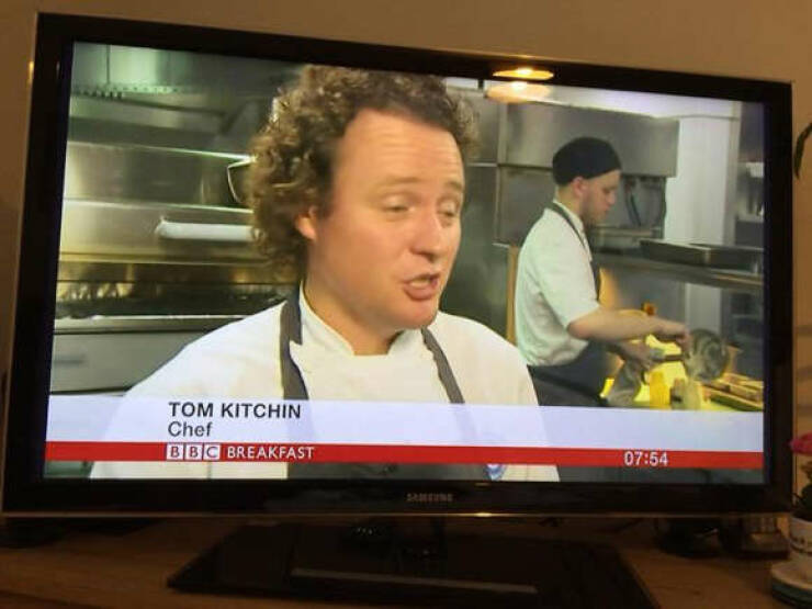 When Your Name Perfectly Matches Your Profession When Your Name Perfectly Matches Your Profession