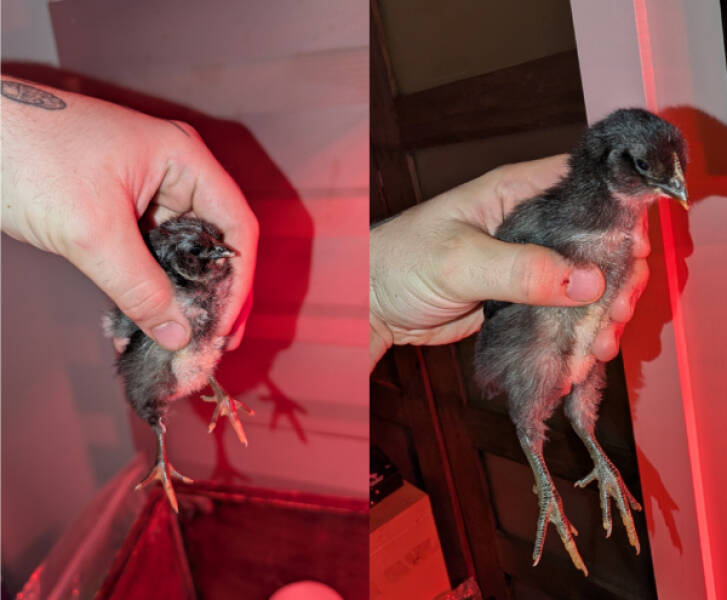 Awesome Internet Gems That Deserve a Double Tap