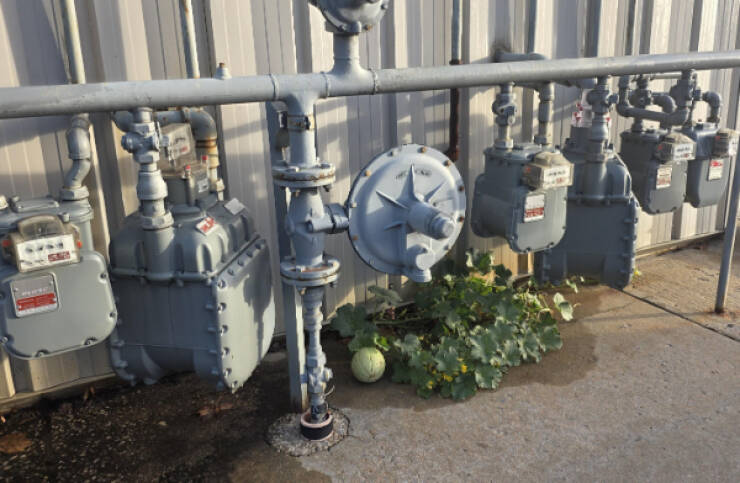 Awesome Internet Gems That Deserve a Double Tap