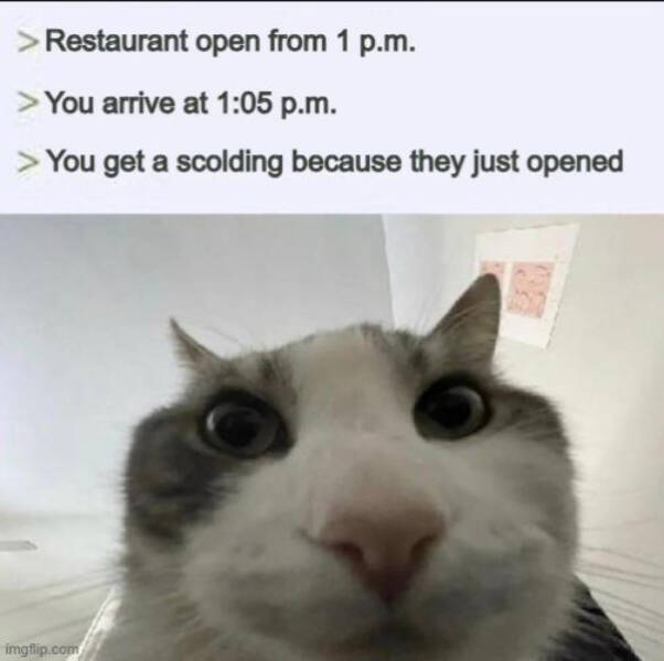 Unfiltered Internet Chaos in Meme Form Unfiltered Internet Chaos in Meme Form