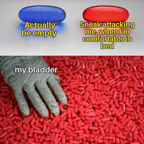 Unfiltered Internet Chaos in Meme Form Unfiltered Internet Chaos in Meme Form