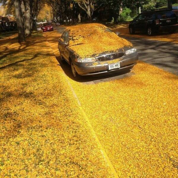 Breathtaking Fall Foliage From Every Corner of the Globe Breathtaking Fall Foliage From Every Corner of the Globe