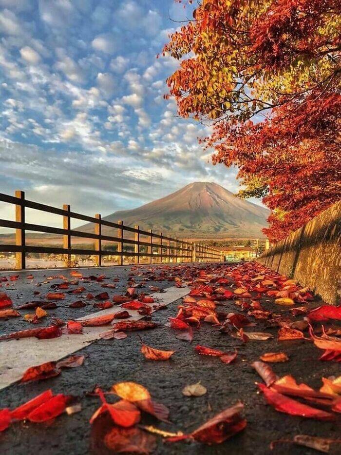 Breathtaking Fall Foliage From Every Corner of the Globe Breathtaking Fall Foliage From Every Corner of the Globe