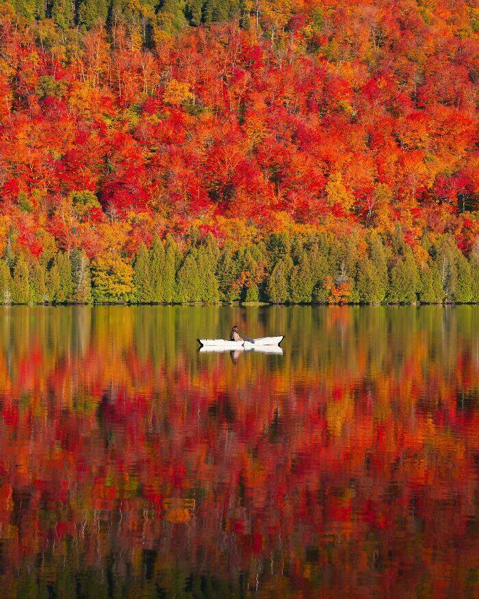 Breathtaking Fall Foliage From Every Corner of the Globe Breathtaking Fall Foliage From Every Corner of the Globe