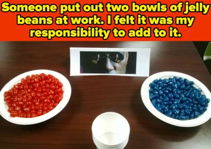 Dumb but Delightful: Pics That Sparked Unexpected Joy