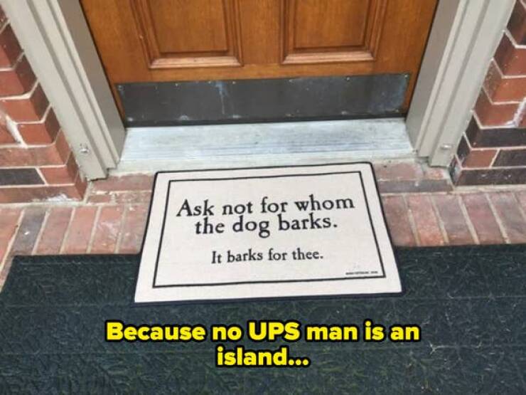 Dumb but Delightful: Pics That Sparked Unexpected Joy