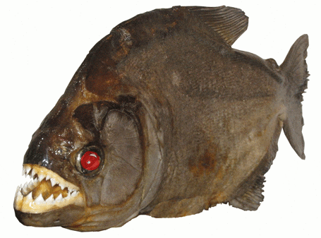 Movie Myths We All Believed (Thanks a Lot, Hollywood)