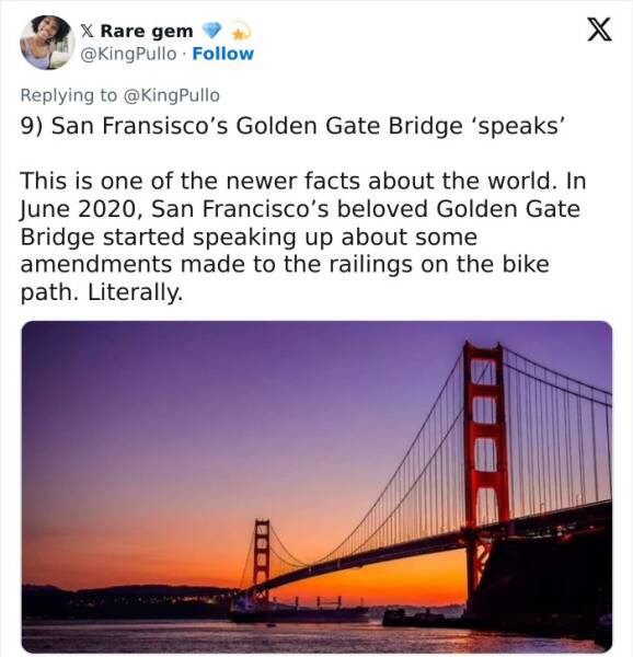 Crazy True Facts That’ll Have You Saying ‘Wait… Really?’