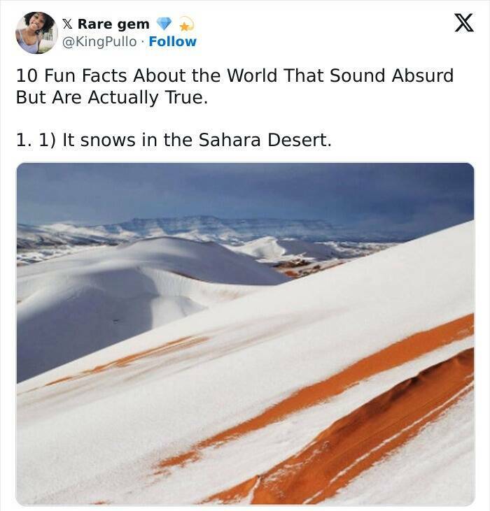 Crazy True Facts That’ll Have You Saying ‘Wait… Really?’ Crazy True Facts That’ll Have You Saying ‘Wait… Really?’