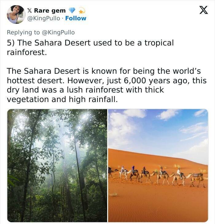 Crazy True Facts That’ll Have You Saying ‘Wait… Really?’ Crazy True Facts That’ll Have You Saying ‘Wait… Really?’