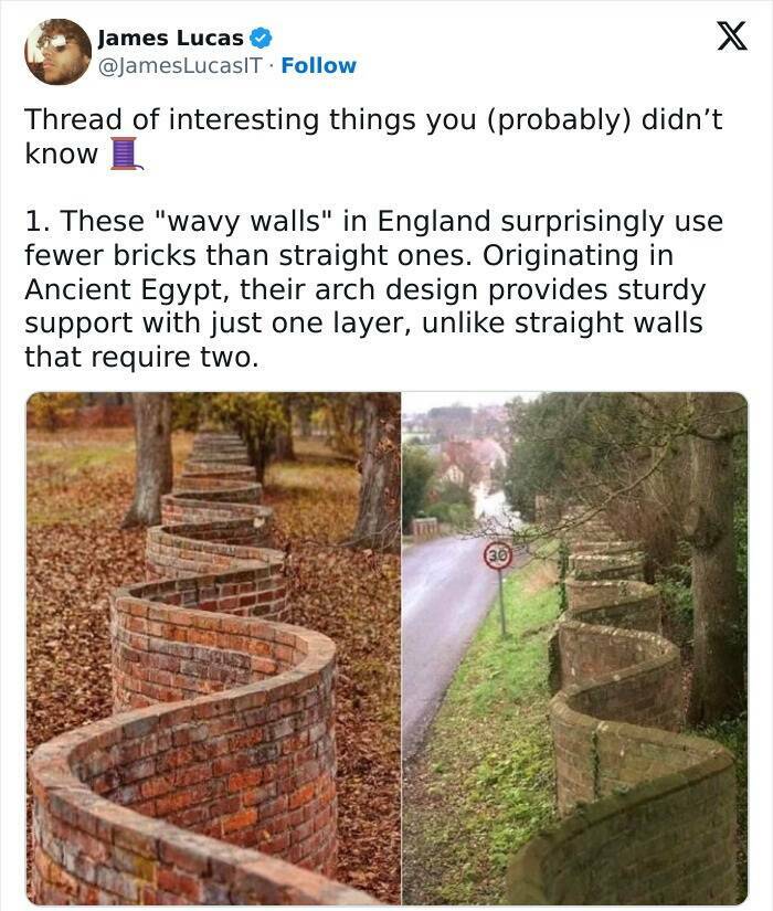 Crazy True Facts That’ll Have You Saying ‘Wait… Really?’ Crazy True Facts That’ll Have You Saying ‘Wait… Really?’