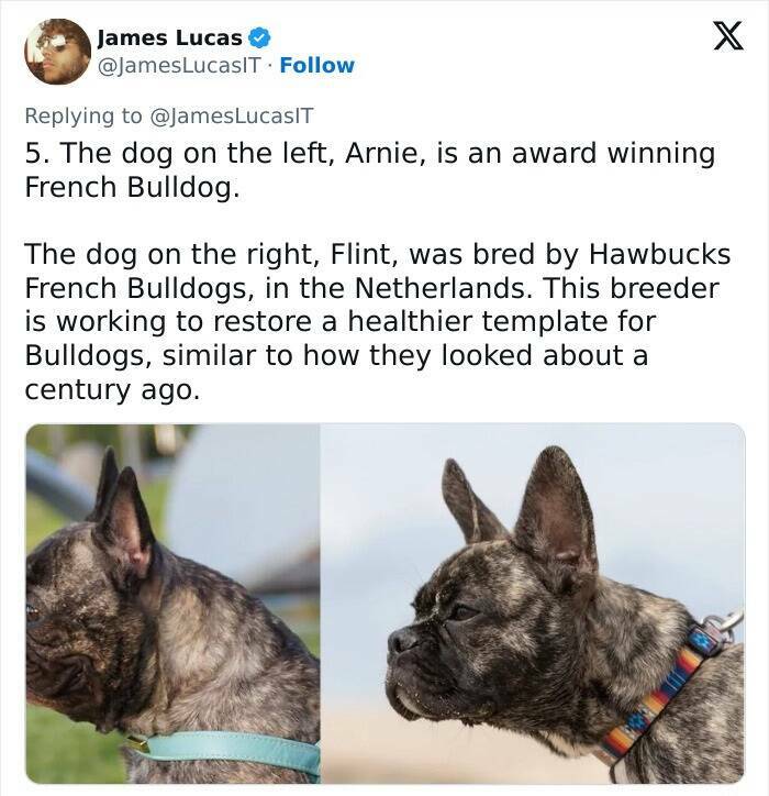 Crazy True Facts That’ll Have You Saying ‘Wait… Really?’ Crazy True Facts That’ll Have You Saying ‘Wait… Really?’