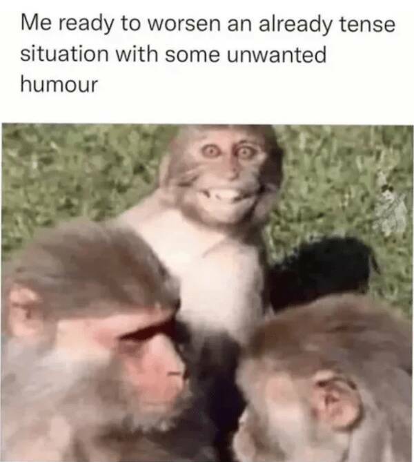 Dumb Memes With Uncomfortably Accurate Truths Dumb Memes With Uncomfortably Accurate Truths