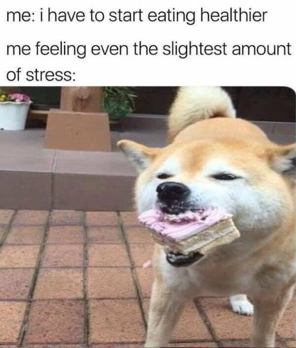 Dumb Memes With Uncomfortably Accurate Truths Dumb Memes With Uncomfortably Accurate Truths