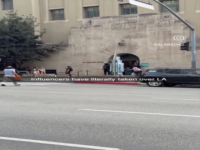 Another Tik Tok in the Wild