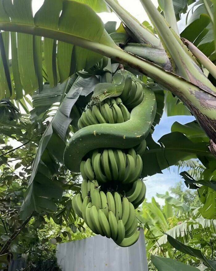 Hilarious Animal Moments Caught at the Perfect Time Hilarious Animal Moments Caught at the Perfect Time