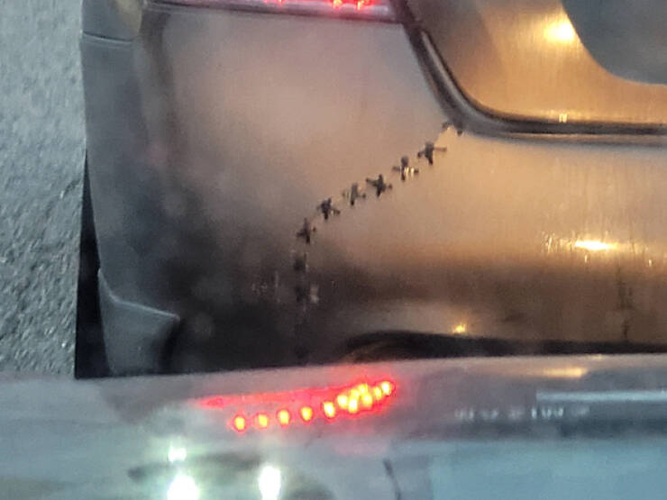 Oddly Satisfying and Mildly Interesting Moments from Everyday Life