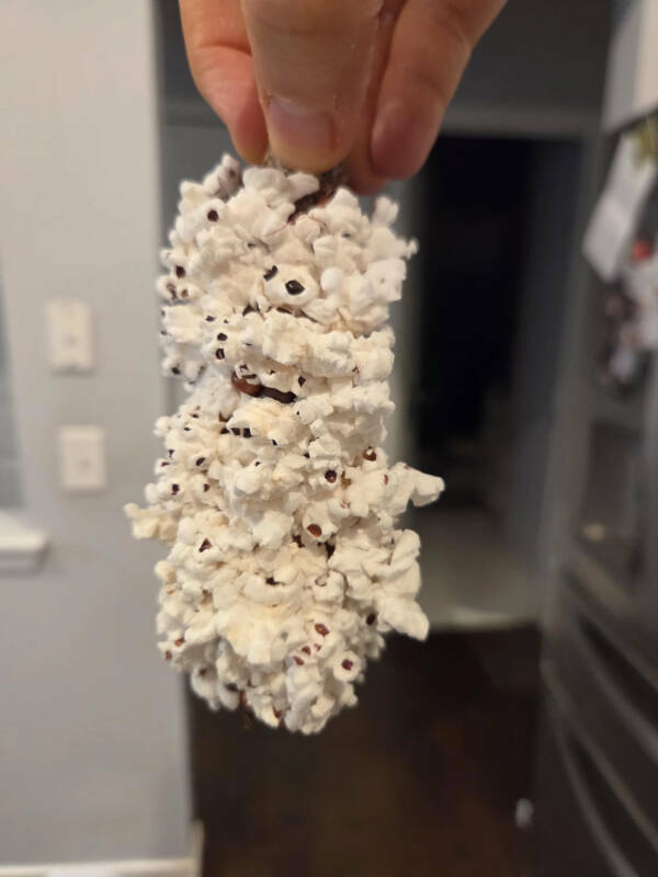 Oddly Satisfying and Mildly Interesting Moments from Everyday Life