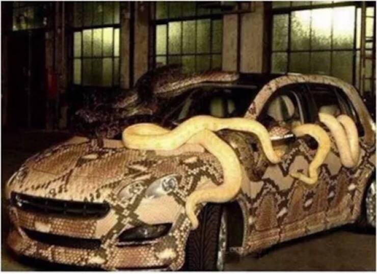 Cars Dressed for Halloween