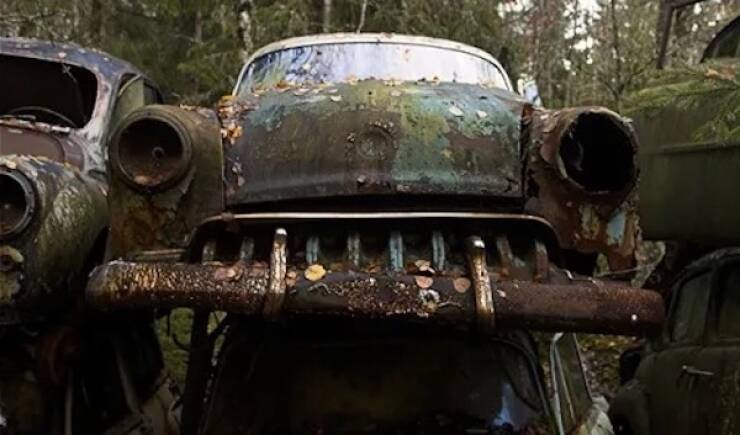 Cars Dressed for Halloween