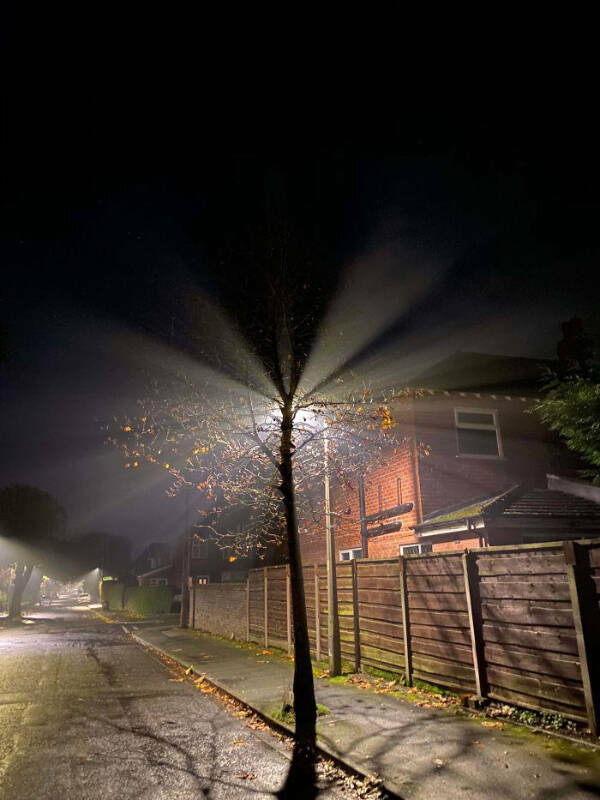 Such A Pleasure For The Eyes