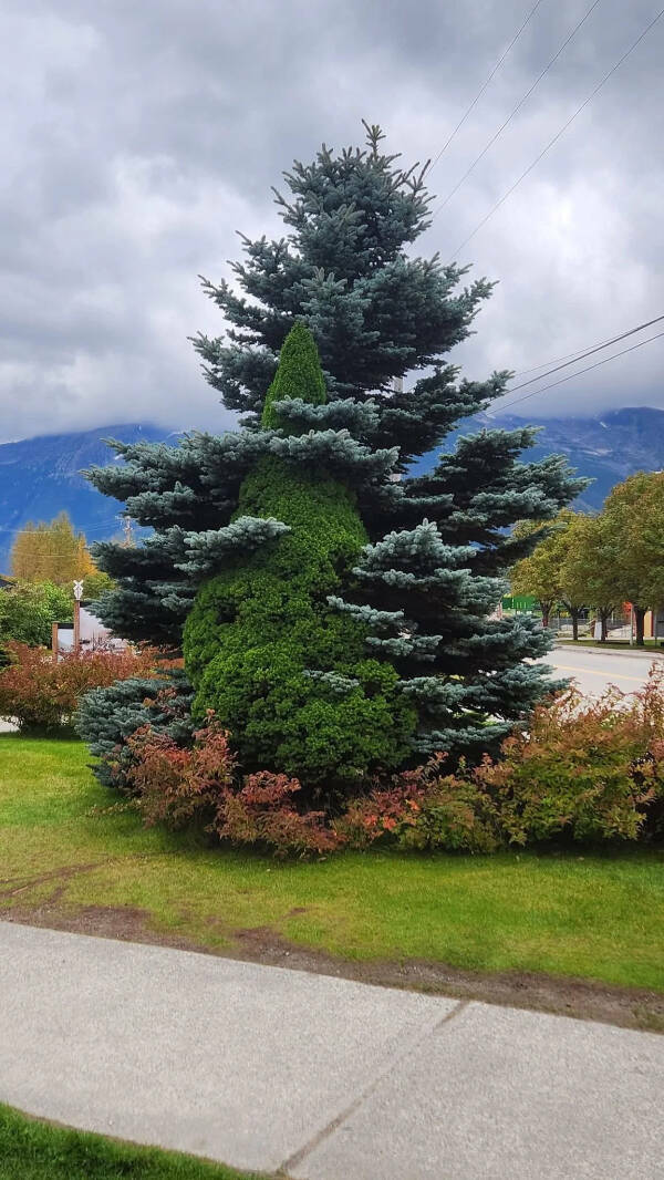 Such A Pleasure For The Eyes