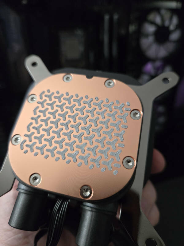 Such A Pleasure For The Eyes