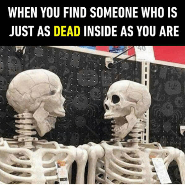 The Spooky Meme Collection