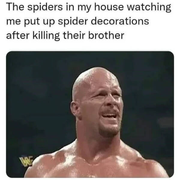 The Spooky Meme Collection