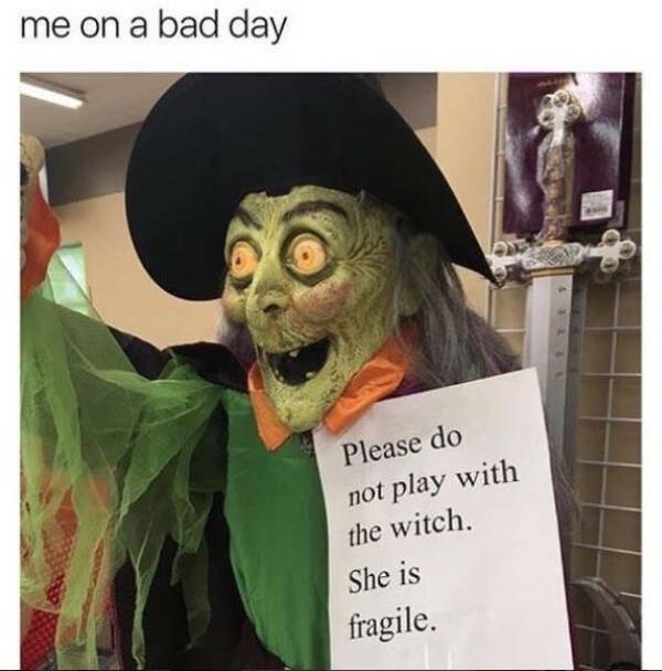 The Spooky Meme Collection