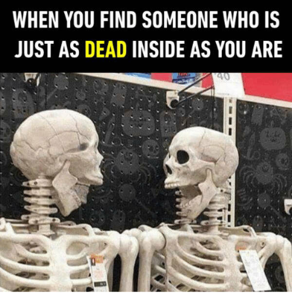 The Spooky Meme Collection