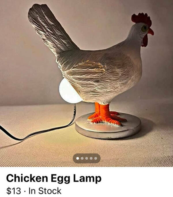 Bizarre Online Listings You Have to See to Believe Bizarre Online Listings You Have to See to Believe