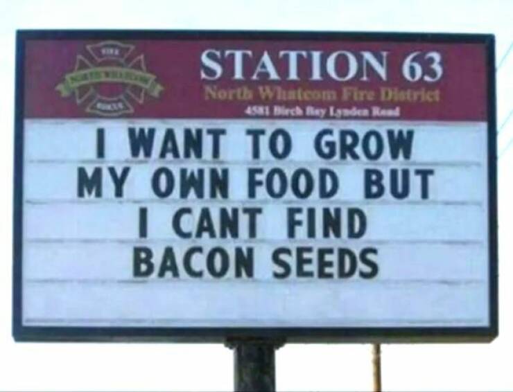 The Ultimate Dad Meme Collection