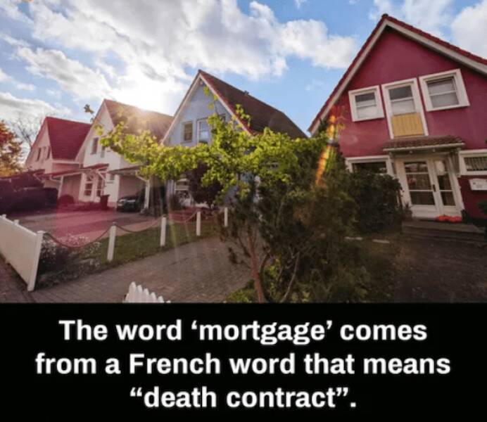 The Ultimate Dad Meme Collection