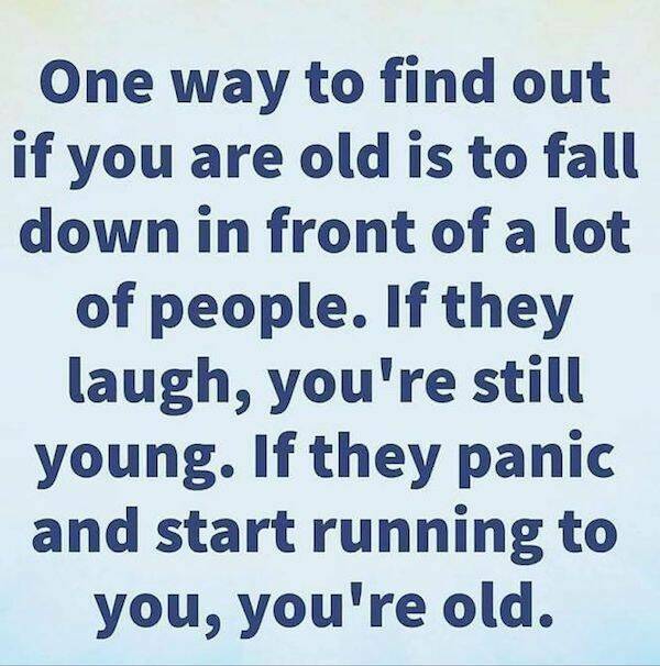 The Ultimate Dad Meme Collection