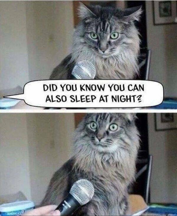 The Ultimate Dad Meme Collection