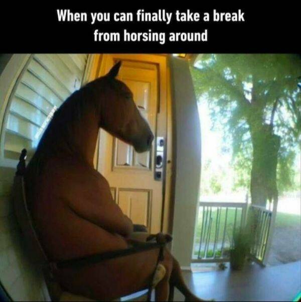 The Ultimate Dad Meme Collection