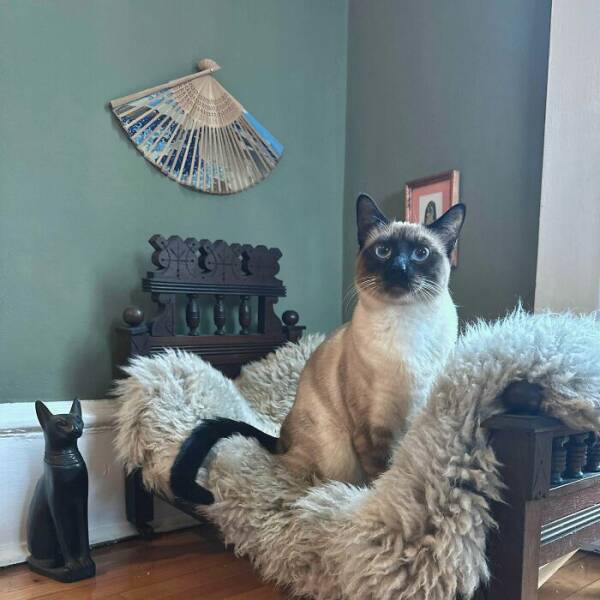 Thrift Store Treasures That Deserve a Standing Ovation