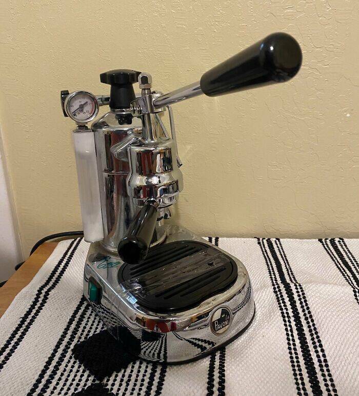 Thrift Store Treasures That Deserve a Standing Ovation