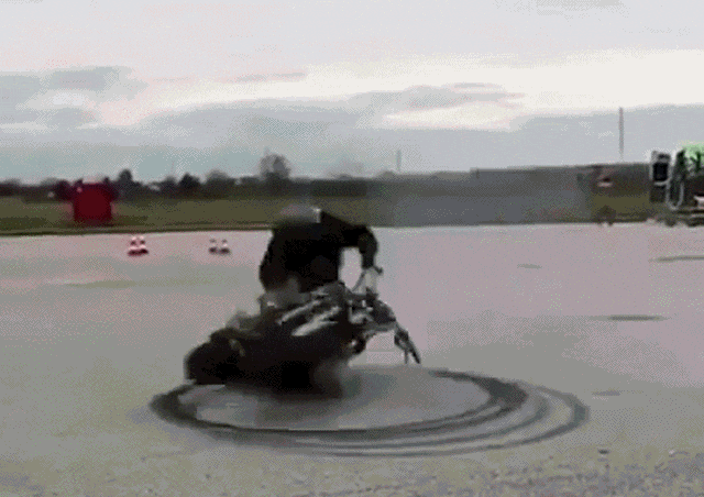 Daily Gifdump Daily Gifdump