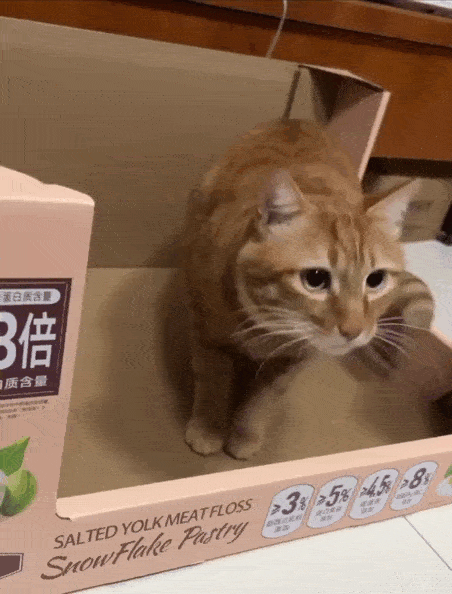 Daily Gifdump Daily Gifdump