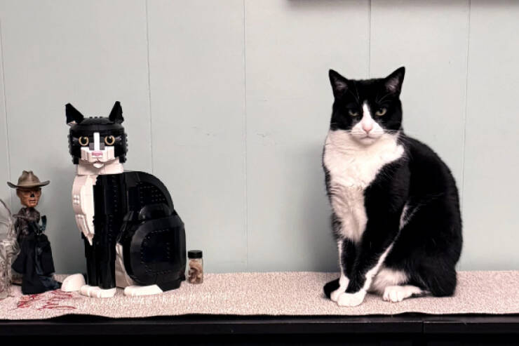 Confusing Images with Zero Explanation