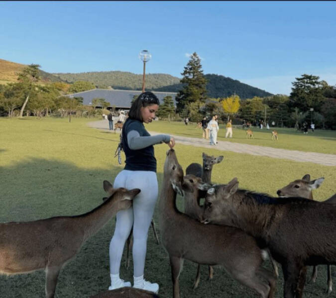 Confusing Images with Zero Explanation