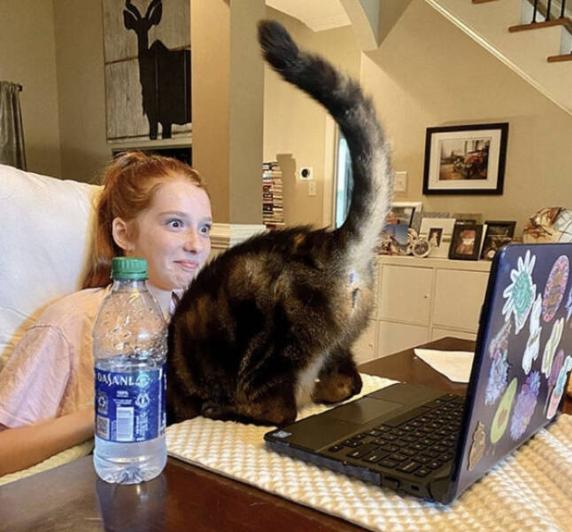 Confusing Images with Zero Explanation