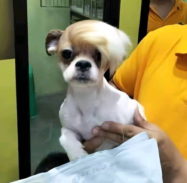 Confusing Images with Zero Explanation