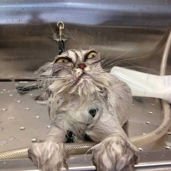 Confusing Images with Zero Explanation