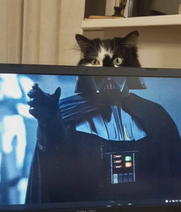 Confusing Images with Zero Explanation