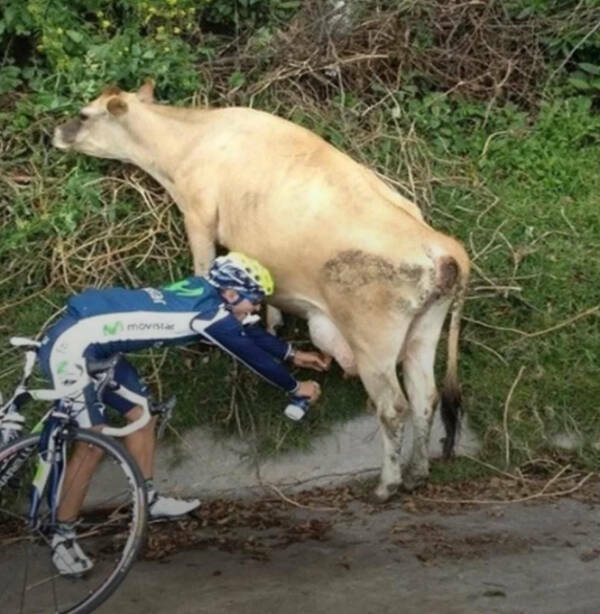 Confusing Images with Zero Explanation